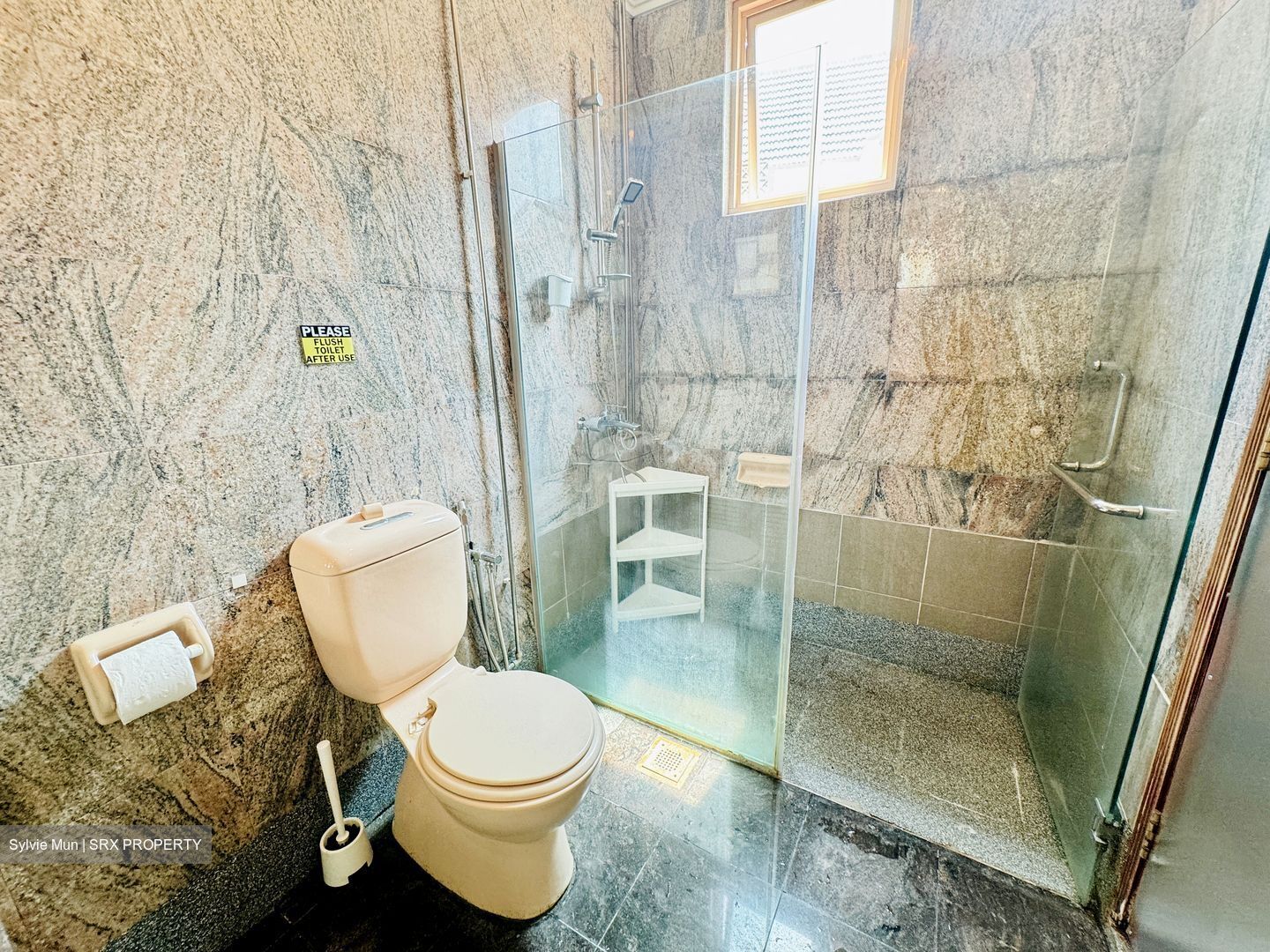 Le Hill Condominium (D5), Condominium #632475621
